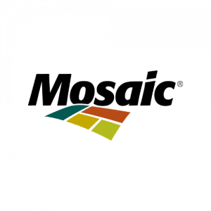 Mosaic png logo